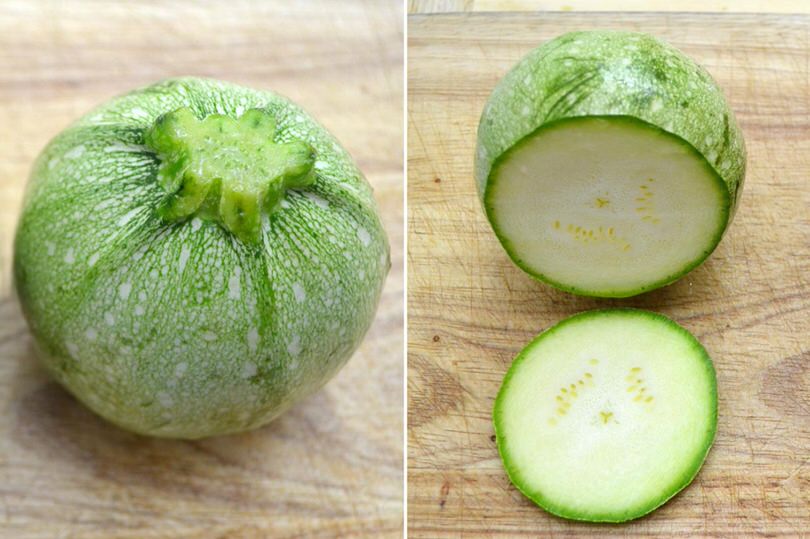 1 zucchine tonde