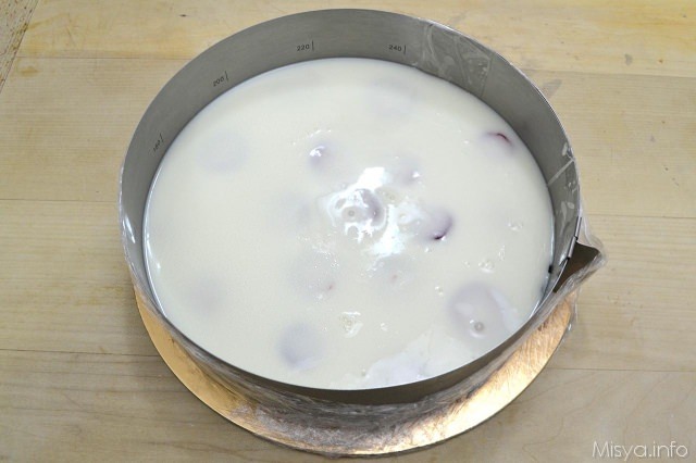 24 primo strato yogurt