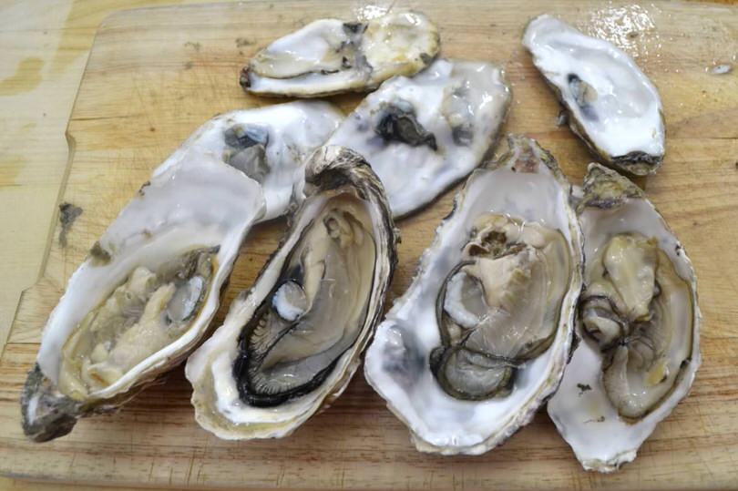 4 ostriche aperte