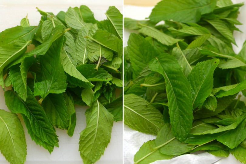 lavare e asciugare menta