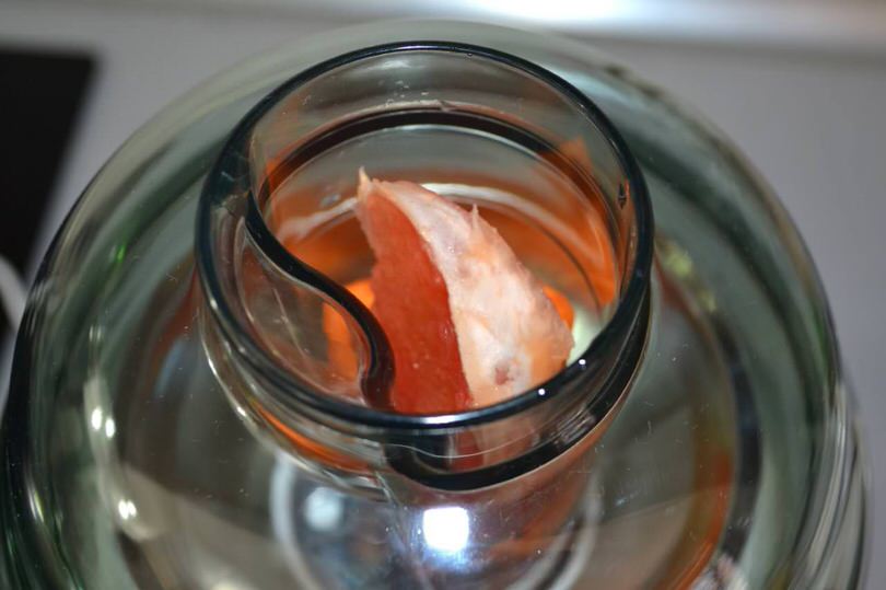 Centrifugato Con Carota Pompelmo E Zenzero Ricetta Centrifugato Con Carota Pompelmo E Zenzero Di Misya