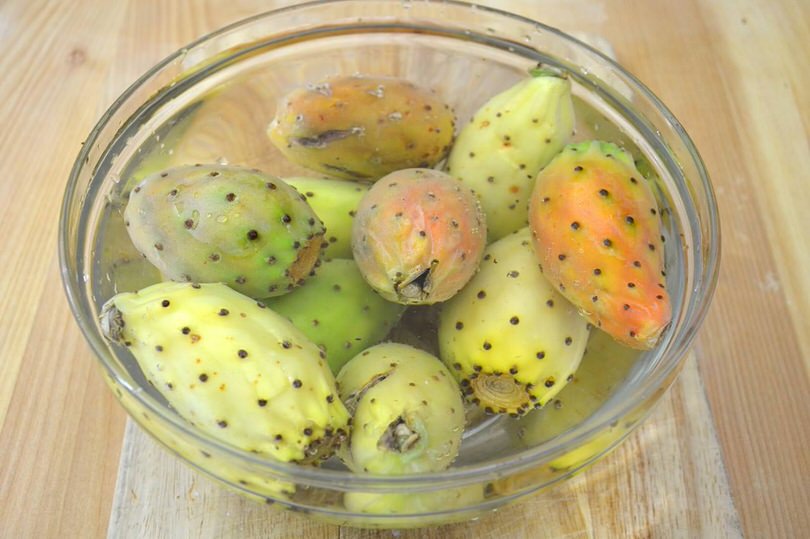 1 fichi d india nell acqua