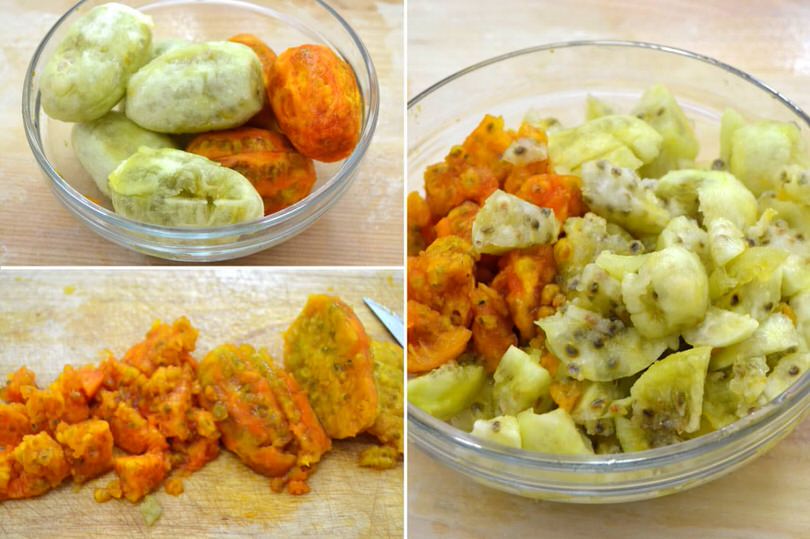 1 tagkliare fichi d india