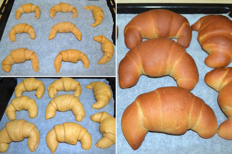 8-far-lievitare-e-cuocere