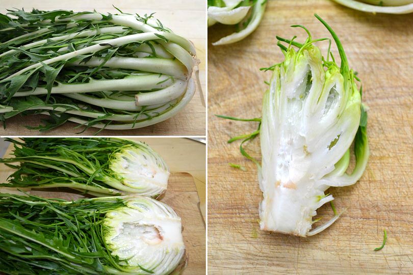 Puntarelle alla romana - Luciana In Cucina®