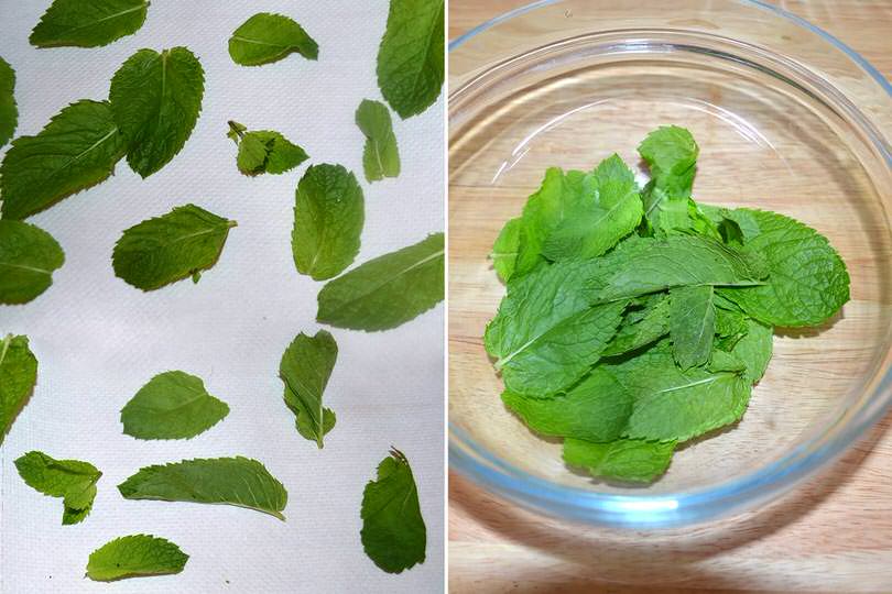 1 foglioline di menta in una ciotola