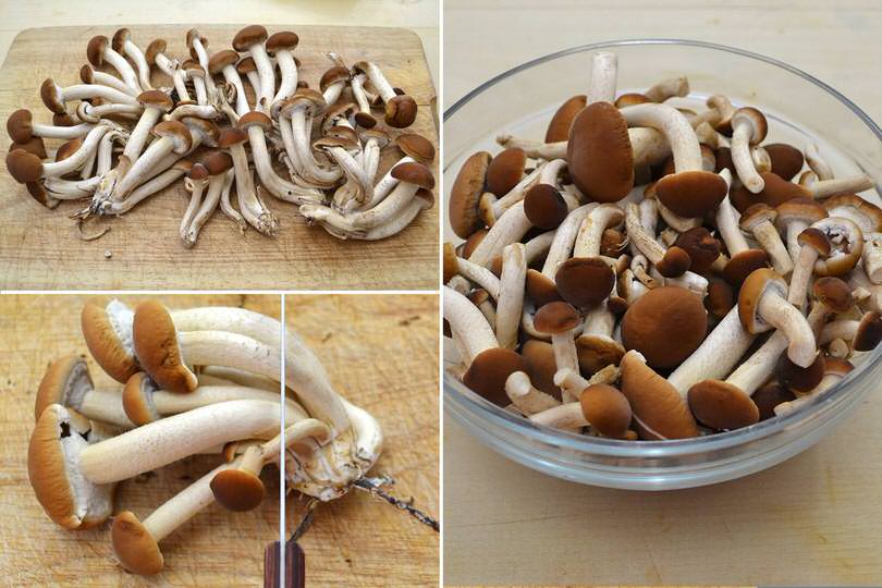 Funghi Sott Olio Ricetta Funghi Sott Olio Di Misya