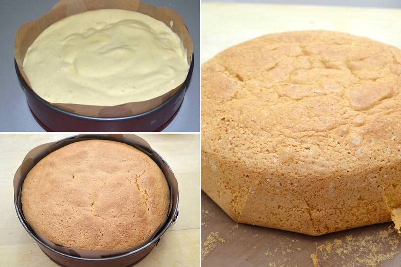 cuocere pan di spagna