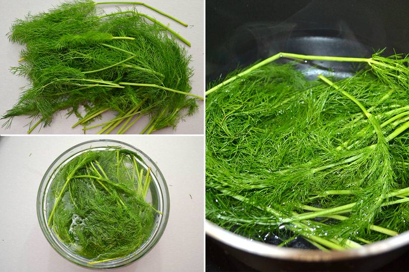 1 bollire finocchietto