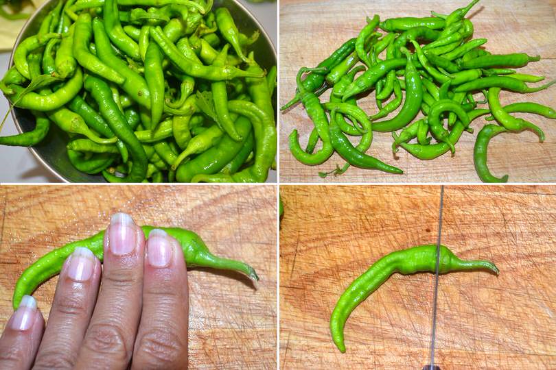 Peperoncini Verdi Fritti Al Pomodoro Ricetta Peperoncini Verdi Fritti Al Pomodoro Di Misya