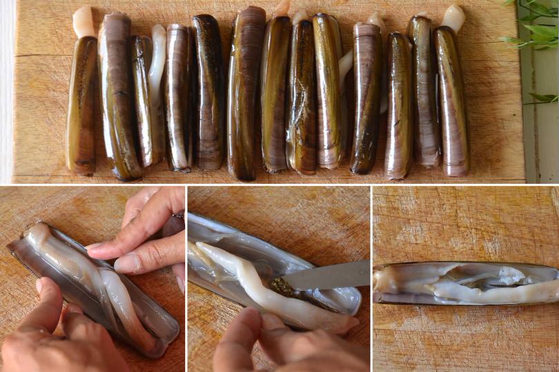 Come cucinare i cannolicchi Misya.info