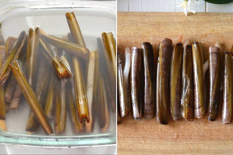1 spurgare cannolicchi