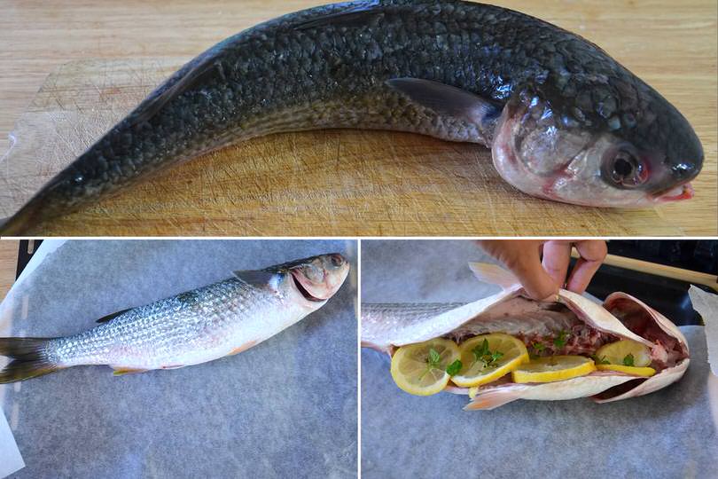 2 cefalo sulla teglia