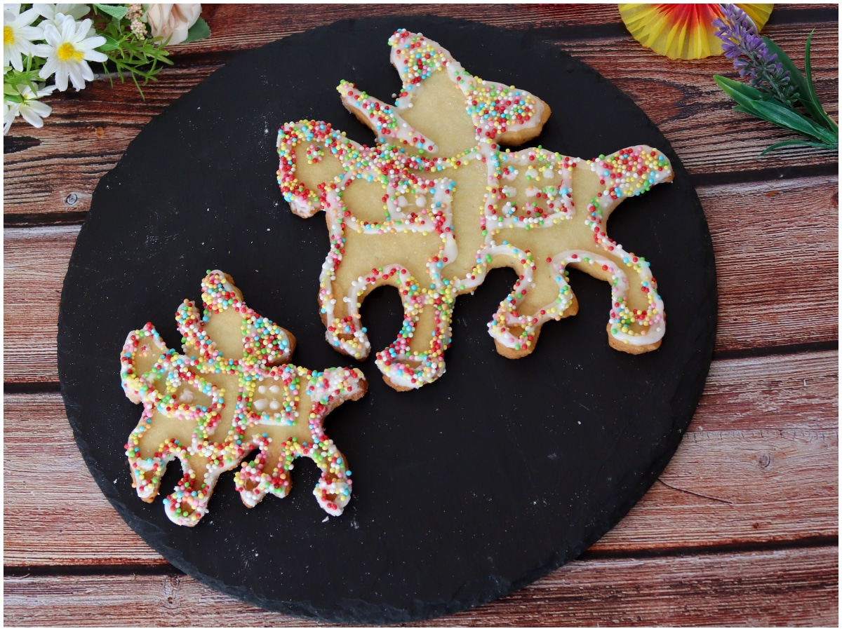 Biscotti per cavalli fatti in casa🍪❤️ 