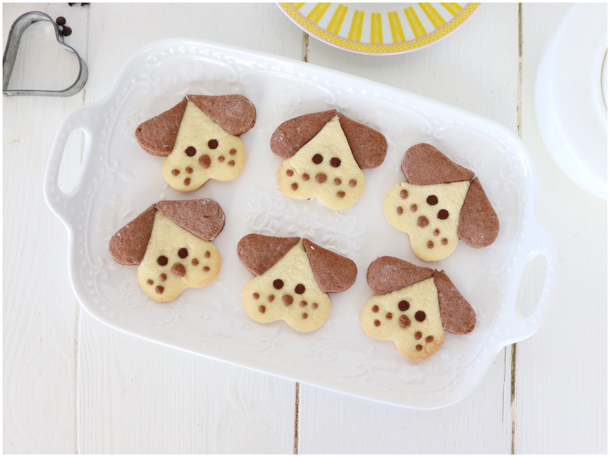 dog-shaped biscuits